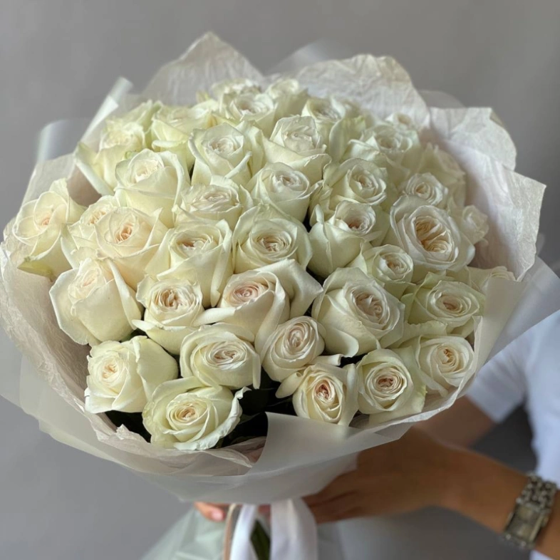 41 белая Роза «Вайт О’хара»