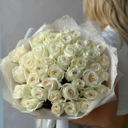 41 белая Роза «Вайт О’хара» 0