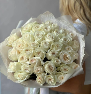 41 белая Роза «Вайт О’хара»