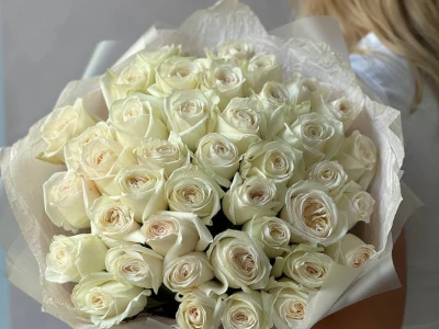 41 белая Роза «Вайт О’хара»