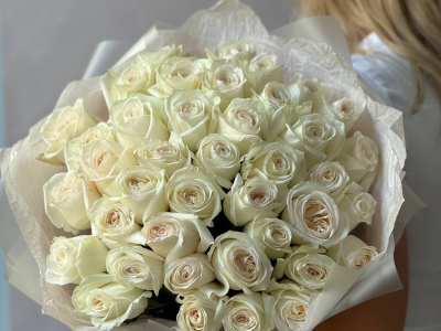 41 белая Роза «Вайт О’хара»