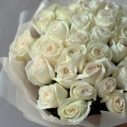 41 белая Роза «Вайт О’хара» 3