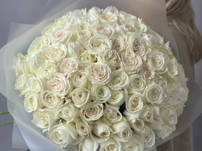 75 белых роз «Плая Бланка»