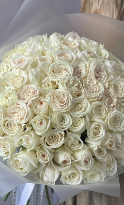 75 белых роз «Плая Бланка»