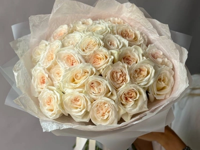 25 парфюмированных роз «Вайт О’хара»