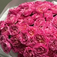 Кустовые розы 15 «Цериз Джульетта» 4