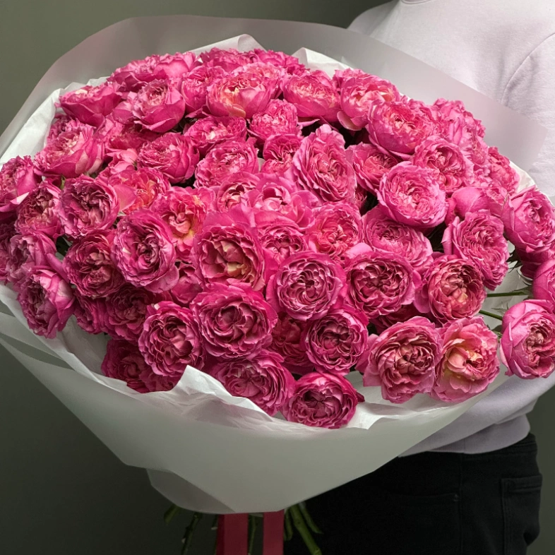 Кустовые розы 15 «Цериз Джульетта»