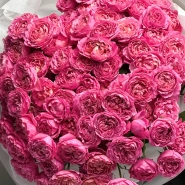 Кустовые розы 15 «Цериз Джульетта» 3