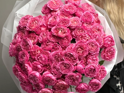 Кустовые розы 15 «Цериз Джульетта»