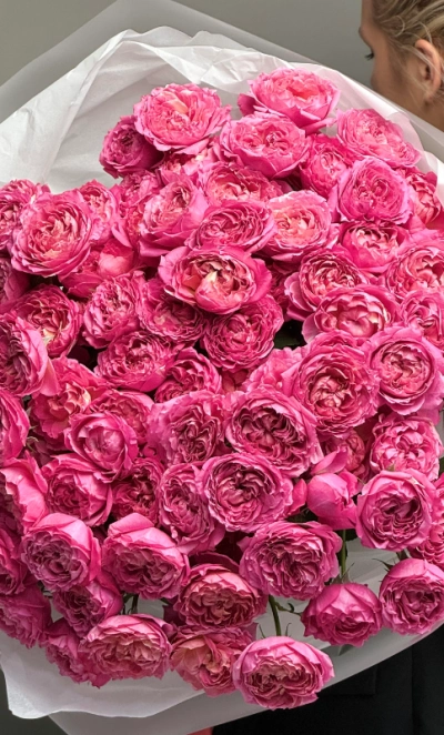 Кустовые розы 15 «Цериз Джульетта»