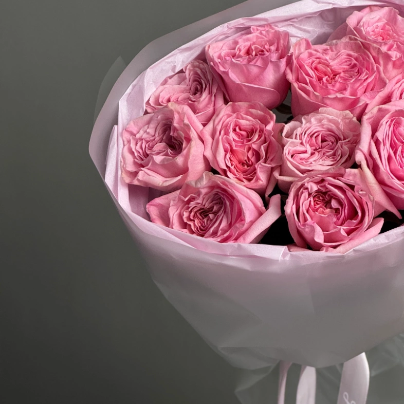 Ароматные розы «Pink O’Hara» 11