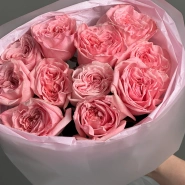 Ароматные розы «Pink O’Hara» 11 4
