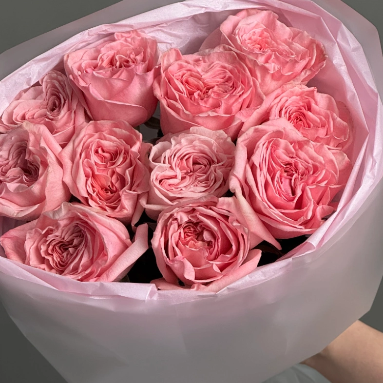 Ароматные розы «Pink O’Hara» 11