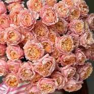 Джульетта пионовидные кустовые розы 13 3