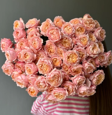 Джульетта пионовидные кустовые розы 13