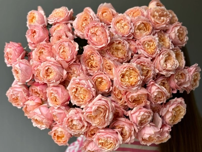 Джульетта пионовидные кустовые розы 13