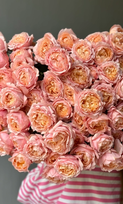 Джульетта пионовидные кустовые розы 13