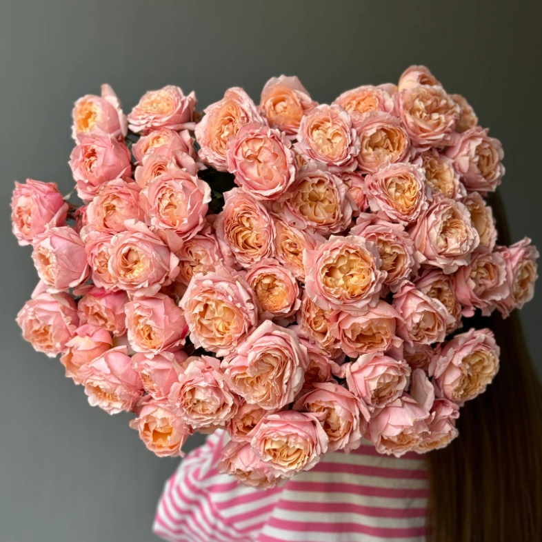 Джульетта пионовидные кустовые розы 13