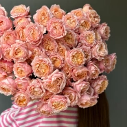 Джульетта пионовидные кустовые розы 13 1