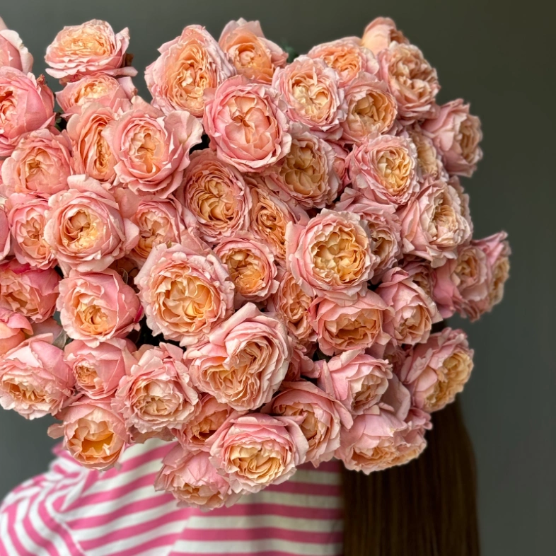 Джульетта пионовидные кустовые розы 13