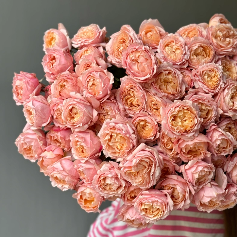 Джульетта пионовидные кустовые розы 13