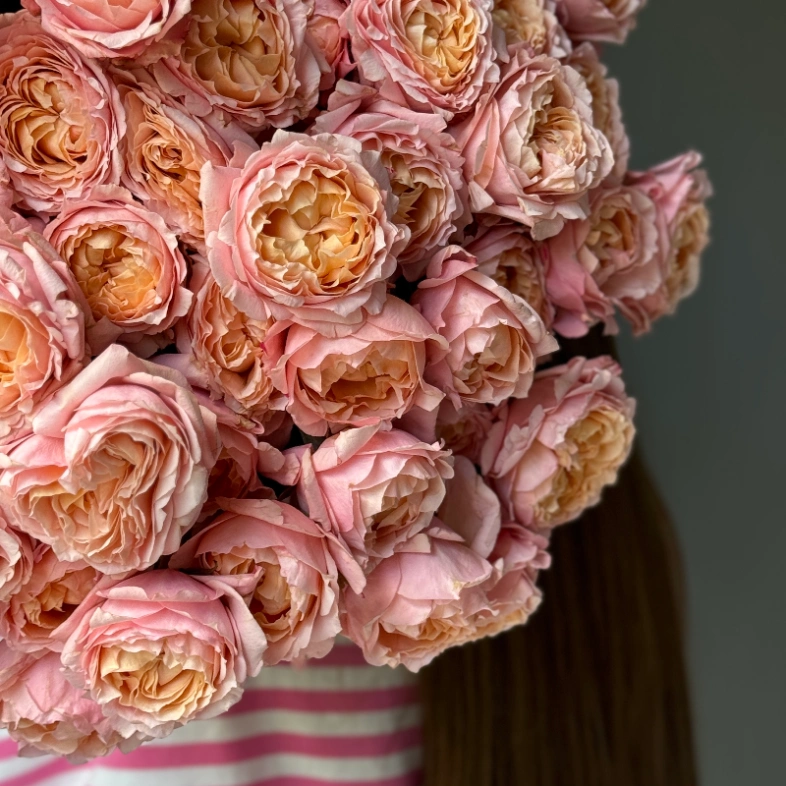 Джульетта пионовидные кустовые розы 13