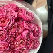 Хит кустовые розы &laquo;Джульетта Сериз&raquo; 1