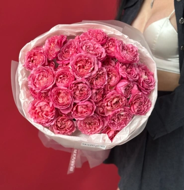 Хит кустовые розы «Джульетта Сериз»