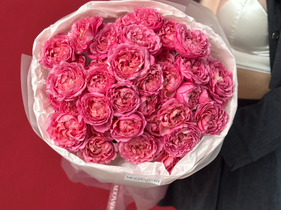 Хит кустовые розы «Джульетта Сериз»