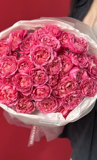 Хит кустовые розы «Джульетта Сериз»