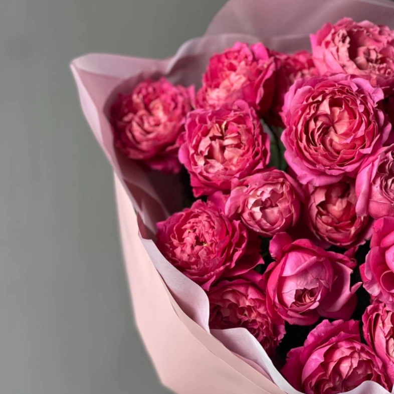 Хит кустовые розы «Джульетта Сериз»