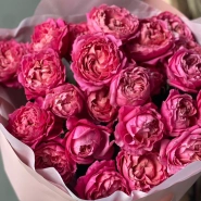 Хит кустовые розы «Джульетта Сериз» 4