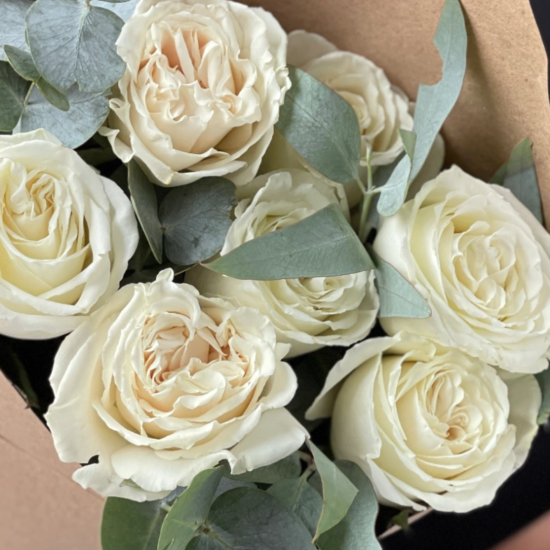 Белые розы Плая Бланка в крафте 