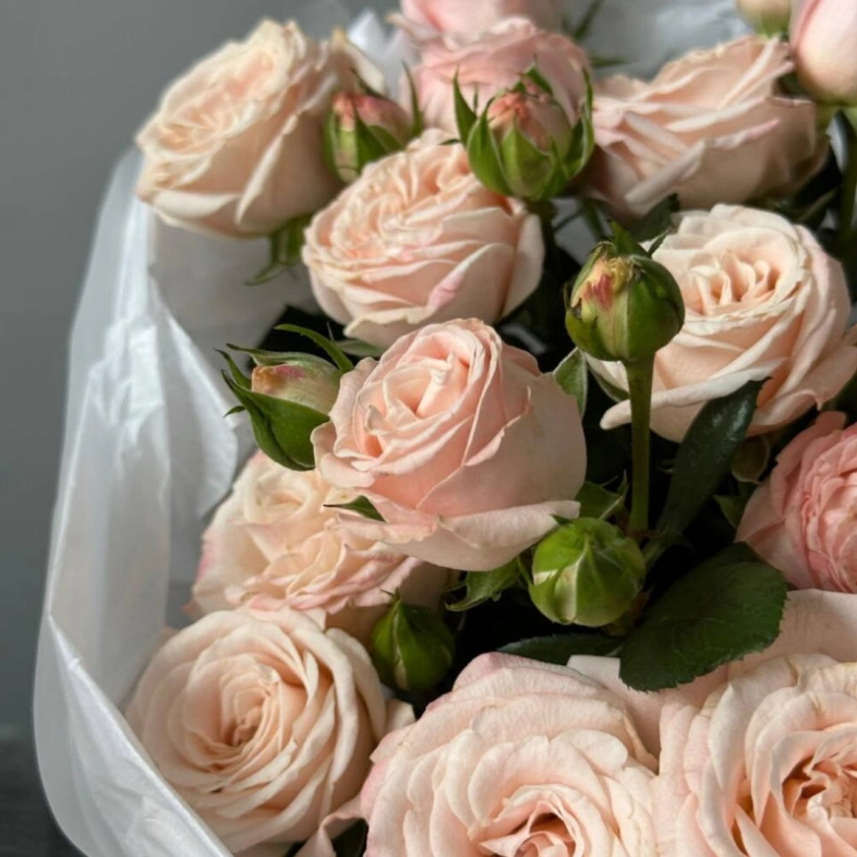 Монобукет кустовые розы Bombastic