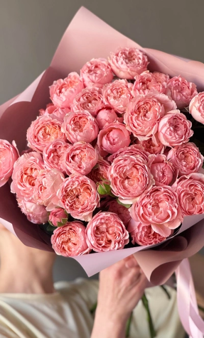 Пионовидные розы Джульетта розовая пудра