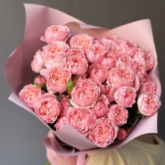 Пионовидные розы Джульетта розовая пудра 3