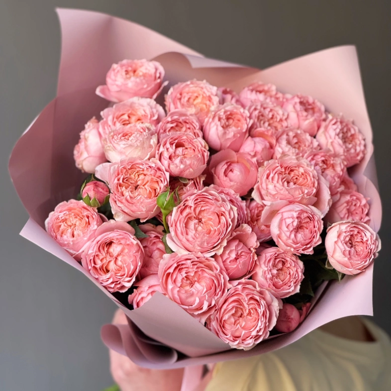 Пионовидные розы Джульетта розовая пудра