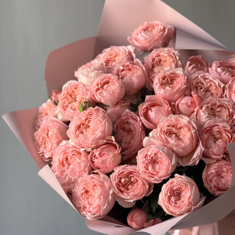 Пионовидные розы Джульетта розовая пудра