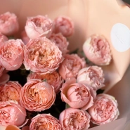 Джульетта розовая пудра 5 4