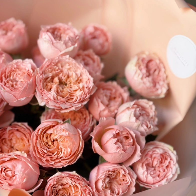 Джульетта розовая пудра 5