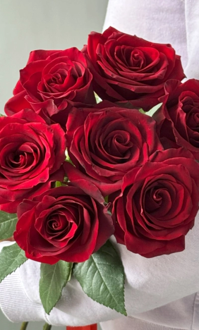 Роза красная Эквадор 7