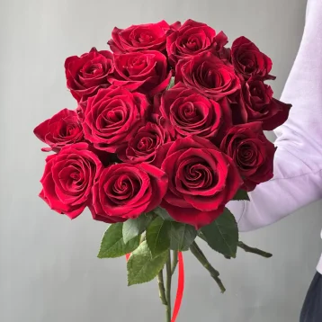 Розы красные 15 Эквадор
