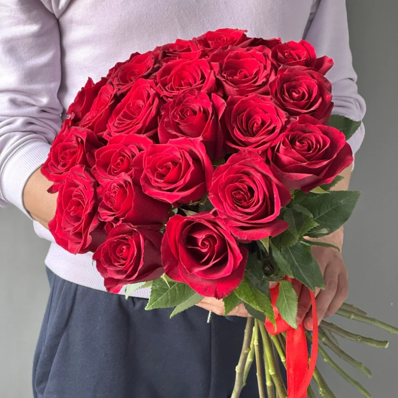 Роза красная классика 25