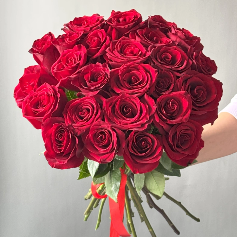 Роза красная классика 25