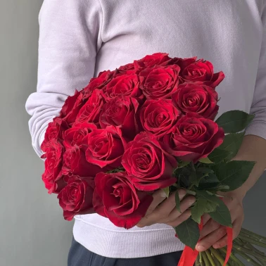 Роза красная классика 25