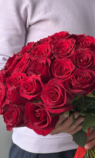 Роза красная классика 25