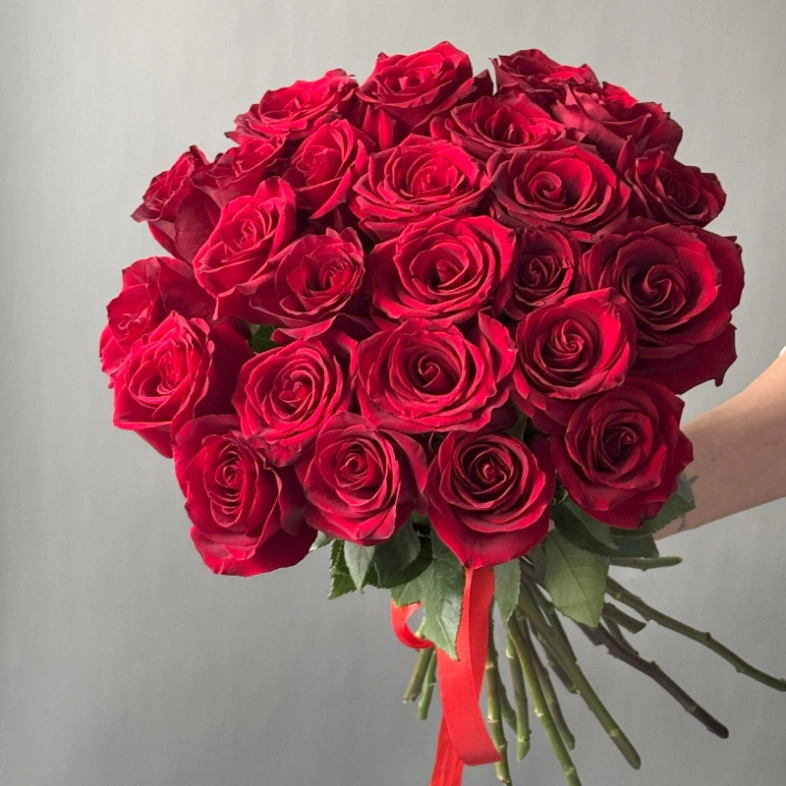 Роза красная классика 25