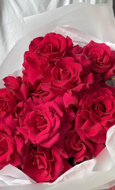 Французские розы «Pink Energy» 11