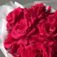 Французские розы «Pink Energy» 11 4