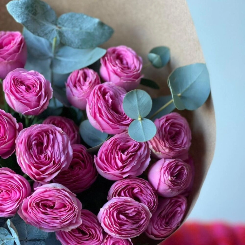 Моно букет кустовые розы фуксия 7шт с эвкалиптом